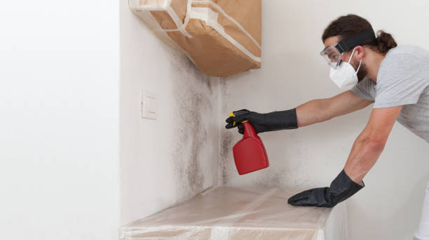 Professional Mold Remediation technician working in Lincoln, IL