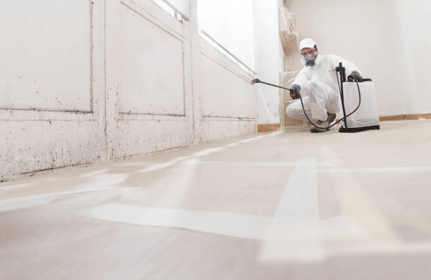 24/7 Emergency Mold Remediation experts in Lincoln, IL